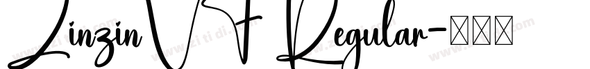 ZinzinVF Regular字体转换